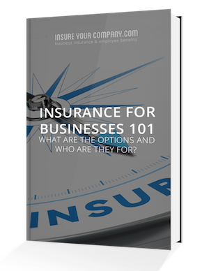Insurance For Businesses 101